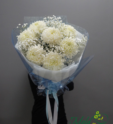 Bouquet of 7 Ball-shaped Chrysanthemums and White Baby's Breath photo 394x433